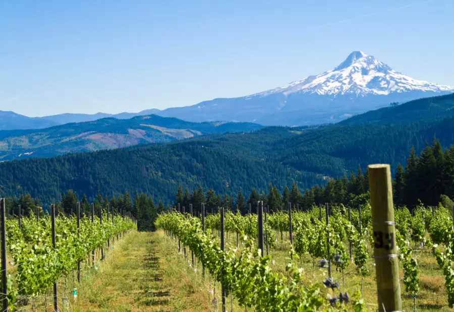 SOMMinar: Pacific Northwest